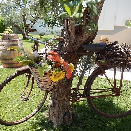 Гостевой дом Casole Short Lets 3*